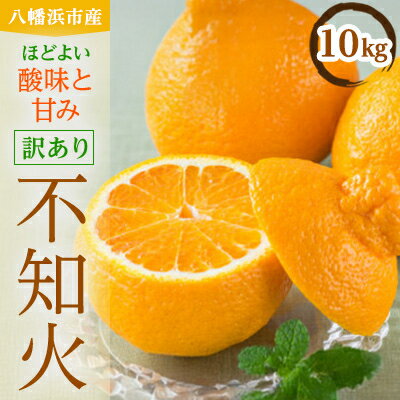 【ふるさと納税】八幡浜産・不知火10kg【訳あり】【E56-40】_ 訳アリ わけあり ワケアリミカン みかん しらぬい シラヌイ 10kg フルーツ 果物 くだもの 家庭用 人気 柑橘 かんきつ 不揃い 規格外 傷 愛媛 旬 産地直送 【配送不可地域：離島】【1479305】