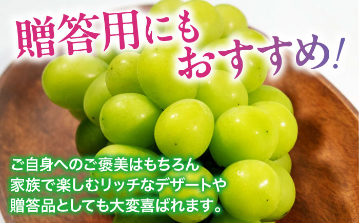 【先行予約】【2025年8月下旬から順次発送】瀬戸ジャイアンツ 2kg（4から6房）愛媛県大洲市/有限会社ふじブドウ園 [AGDB003]