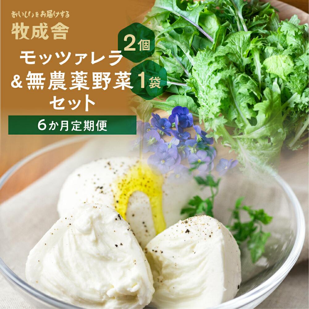 【ふるさと納税】【 6ヶ月 定期便 】飛騨の新鮮モッツァレラ＆フレッシュ野菜 セット 6回お届け モッツァレラチーズ 6回 半年 チーズ ミックスリーフ 無農薬野菜 無農薬 牧成舎 飛騨高山 DF101 お楽しみ