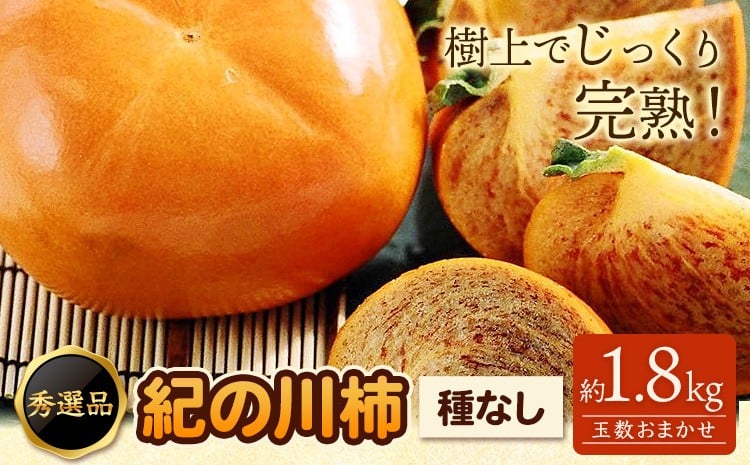 
            【先行予約】希少 紀の川柿 約1.8kg（種無し）秀選品 厳選館 《2026年10月上旬-11月上旬頃出荷》 和歌山県 日高川町 柿 カキ かき 紀の川柿 平核無柿 ひらたねなしかき 樹上完熟 ジューシー フルーツ 旬 種なし 玉数おまかせ
          