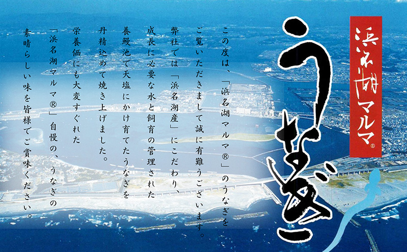 うなぎ 浜名湖 国産 うなぎ蒲焼2本セット 合計260g うなぎ蒲焼 浜名湖産 国産うなぎ 惣菜 おかず ギフト 贈答 土用の丑の日 丑の日 蒲焼き 鰻 真空パック 冷凍 静岡 浜松市