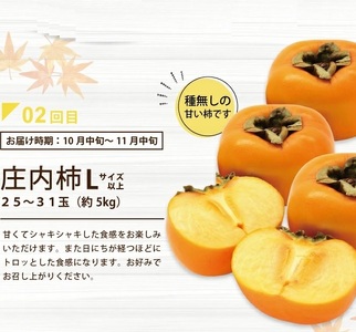 SE0221　【3回定期便】酒田から秋のフルーツ定期便2024 (刈屋梨、庄内柿、ラ・フランス)