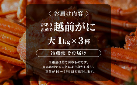 【先行予約】【冷蔵】越前がに 訳あり 足折れ 大 1.0kg以上（茹で前）×3杯【2025年3月上旬以降順次発送予定】 [m21-x008_03]