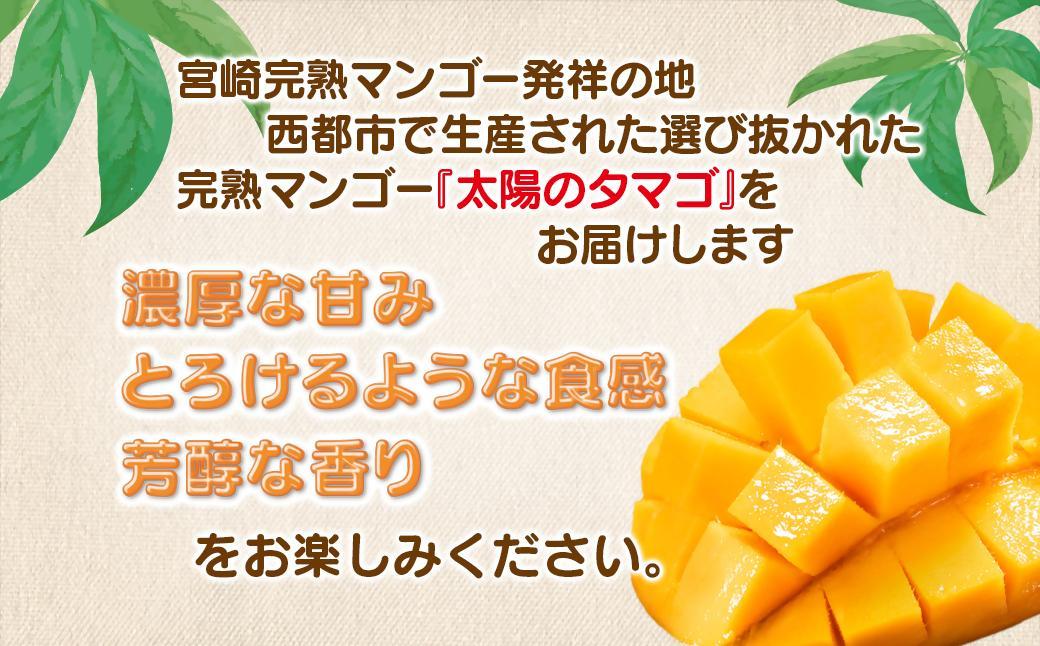 【3カ月定期便】先行予約　最高級ブランド『太陽のタマゴ』2L×2個×3回【糖度15度以上】宮崎県西都市産完熟マンゴー＜11-7＞宮崎マンゴー 果物 フルーツ 甘い