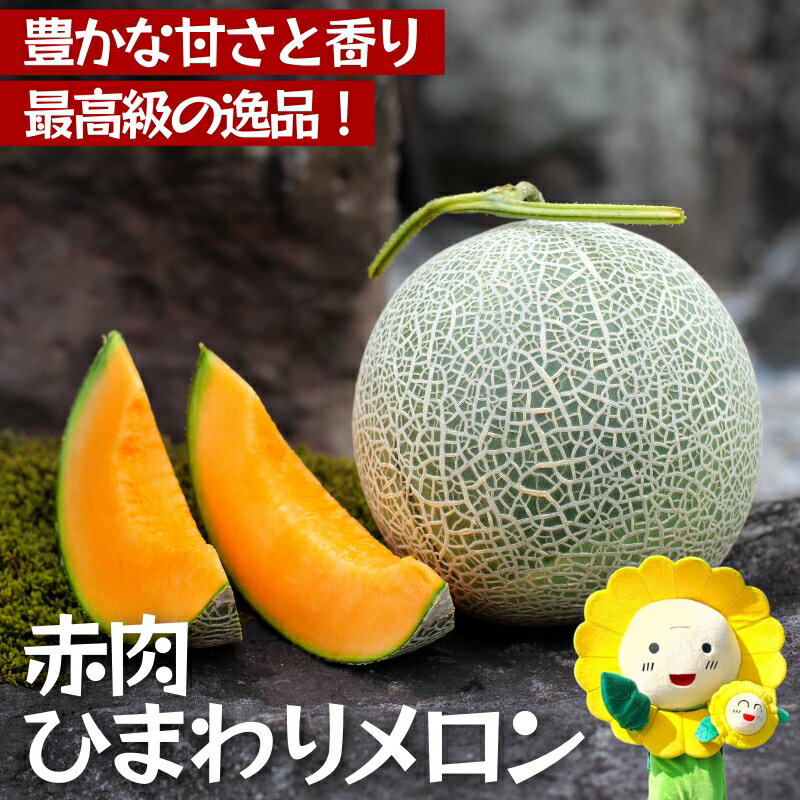 【ふるさと納税】 ひまわり メロン 赤肉 / 高級 北海道 贈答 高糖度 国産 甘い 2玉 4～6玉 ※9月中旬から10月中旬に順次発送 //melon