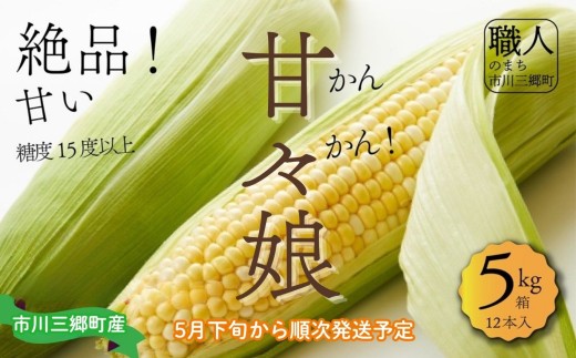 絶品！市川三郷町産 甘々娘 とうもろこし 12本入り 5kg箱 2026年5月下旬から発送 丹沢淳農園 ｜ 人気 人気品種 トウモロコシ スイートコーン BBQ バーベキュー 焼き 茹で 夏野菜 野菜 高糖度 糖度 甘い 産地直送 新鮮 採れたて 朝採れ 贈答 特産品 山梨県 山梨 市川三郷 [5839-1368]