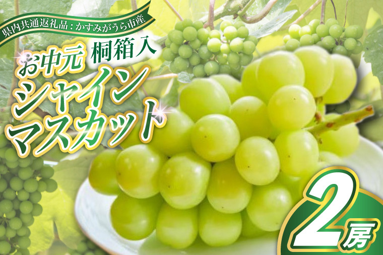 
            ＜8月より順次発送予定＞お中元 シャインマスカット桐箱入り2房 (県内共通返礼品:かすみがうら市産) (BR106)
          