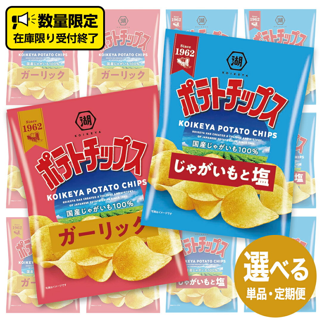【ふるさと納税】湖池屋 ポテトチップス 2種類アソート （じゃがいもと塩・ガーリック）（各12袋・計24袋）選べる配送 単品 または 三か月連続定期便 ポテチ お菓子 おかし 大量 スナック 数量限定 頒布会 おつまみ