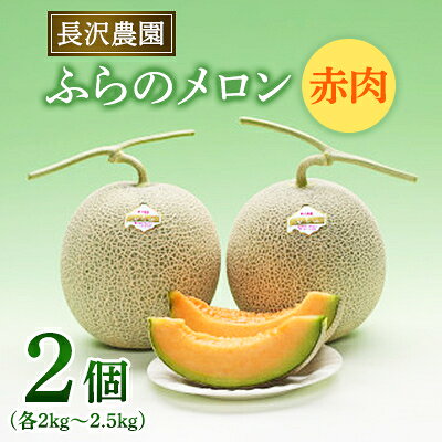 【ふるさと納税】【2027年発送】富良野メロン 赤肉 大玉 2玉入(2kg～2.5kg)〈長沢農園〉【1265600】