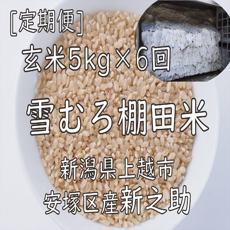 
                  令和7年 新潟県産 棚田米 新之助 玄米 定期便 30kg 30キロ (5kg×6回) 雪中貯蔵 雪むろ しんのすけ お米 こめ 新潟 上越 米 送料無料
                