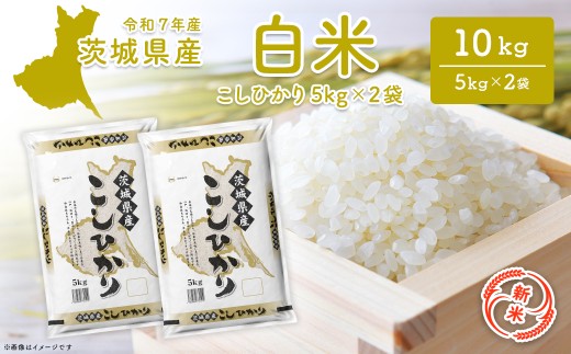【新米/白米】茨城県産 コシヒカリ 10kg (5kg×2袋) ＜令和7年12月内発送＞ 新米 米 精米 小分け 2025年産 令和7年産 K2654