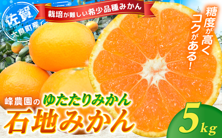 峰農園のゆたたりみかん【石地みかん】5kg　フルーツ 果物 くだもの 柑橘 みかん さがみかん 太良みかん 温州みかん 美味しい 希少品種 石地みかん 中生温州みかん ミネラル豊富 多良岳山系の水 有明海の潮風 贈答用 お中元 お歳暮 産地直送 佐賀県 太良町 M87