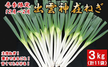 出雲神在（かみあり）ねぎ