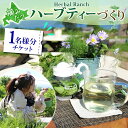 【ふるさと納税】北海道 摘みたて ハーブティー 作り 体験 ハーブ ティー お茶 紅茶 フレッシュ オリジナル ハーブ畑 天然 無農薬 リラックス 癒し リラクゼーション 健康 ハーバルランチ 送料無料 洞爺湖　洞爺湖町