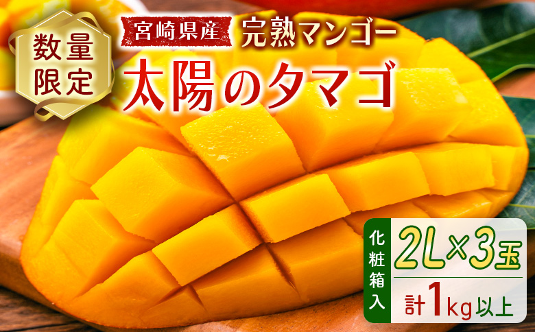 数量限定 宮崎県産 完熟マンゴー＜太陽のタマゴ＞2L×3玉（計1kg以上）※2027年4月下旬配送開始 化粧箱入 フルーツ くだもの【E167-27】