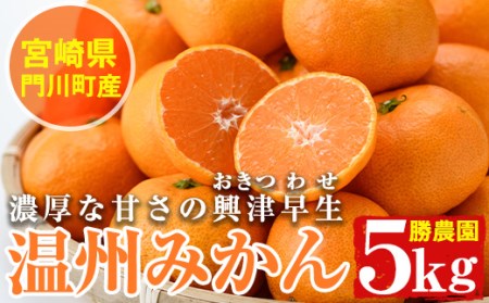 温州みかん興津早生≪おきつわせ≫(約5kg) ミカン 蜜柑 柑橘 果物 数量限定 期間限定 国産 フルーツ 常温 保存 宮崎県 門川町 遠見半島 【AE-23】【勝農園】