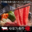 【ふるさと納税】＜日本一受賞：牛肉＞ やまぐち和牛燦 すき焼き食べ比べセット(ももスライス250g、肩ローススライス250g) 肉 牛肉 和牛 黒毛和牛 やまぐち和牛燦 すき焼き もも 肩ロース スライス グルメ F6L-967