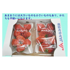 【期間限定】あまおうDX(デラックス)4パック(大牟田市)_果物・フルーツ いちご  イチゴ 苺_【配送不可地域：離島・北海道・沖縄県・東北】【1550974】