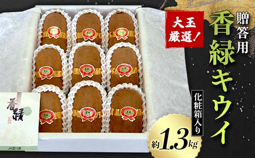 【先行予約】《贈答用》大玉厳選！香緑キウイ 化粧箱入り (約1.3kg) フルーツ 果物 くだもの キウイ 香緑 贈答用 ギフト 贈り物 デザート キウイフルーツ 食品 名産 四国  F5J-671