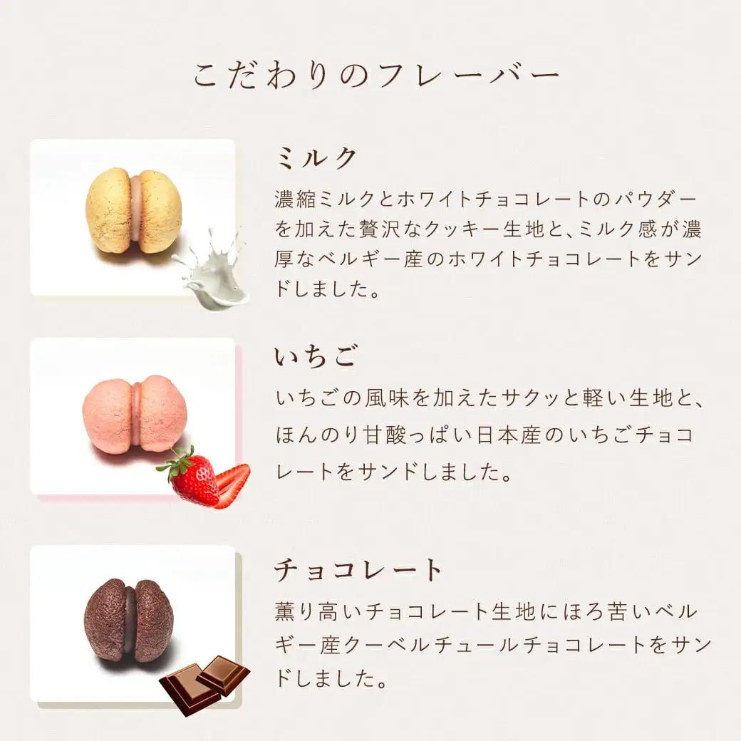 【西宮市の洋菓子】＜シーキューブ＞サクッチ・ホロッチ　12個入　CSC-12RC　洋菓子