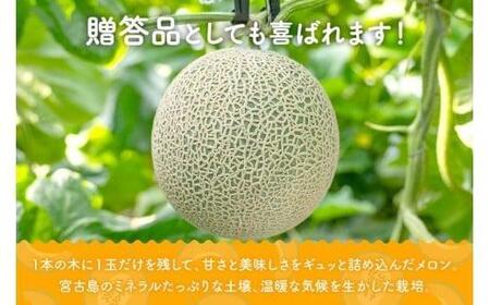 ＜先行受付＞【8farm】宮古島産てぃだメロン1玉（2kg以上）《2026年4月～5月発送》（JC012）
