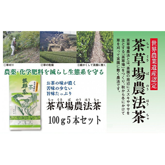 【ふるさと納税】 お茶 深蒸し茶 100g × 5本 セット 日本茶 静岡県 飲料 飲み物 健康 カテキン 静岡県 藤枝市