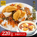 【ふるさと納税】 うに海宝漬 220g 小分け 少量 ご飯のお供 うに 雲丹 ホタテ めかぶ いくら お取り寄せ 産地直送 贈答品 岩手県 釜石市 中村家 海宝漬け 海宝漬 三陸 海産物 魚 魚介 海鮮 新鮮 贅沢 高級 おかず ギフト 贈答用