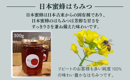 P-AB1 数量限定 串間産純度100％ 日本蜜蜂はちみつ 300g＆携帯用「ドッグシャンプー　厭わず」80ml【QCompany】