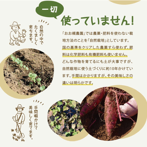 訳あり さつまいも 10kg 生いも 自然栽培  紅はるか さつまいも