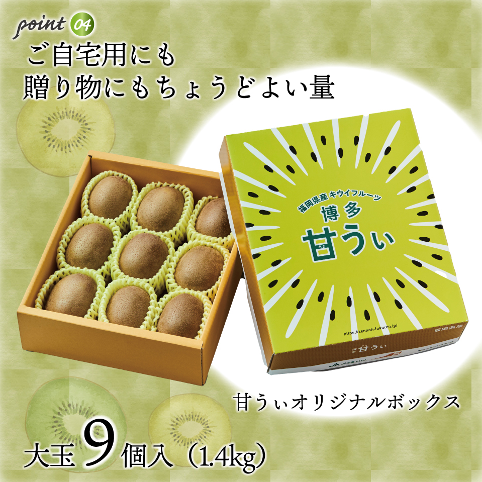 【福岡県産】キウイフルーツ「博多甘うぃ」化粧箱入り約1.4kg 2L10