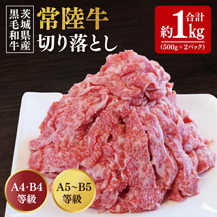 【ふるさと納税】【数量限定】常陸牛切り落とし 約1kg（500g×2p）【水戸市 牛肉 常陸牛 お肉 小分け 自家用におすすめ おいしい ブランド牛 ステーキ 数量 限定 スライス加工】（BG-20）