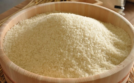 新米 先行予約 コシヒカリ 6kg (3kg×2袋) 新潟県三条市下田産 こしひかり 令和7年産 [JAえちご中越]【010S384】