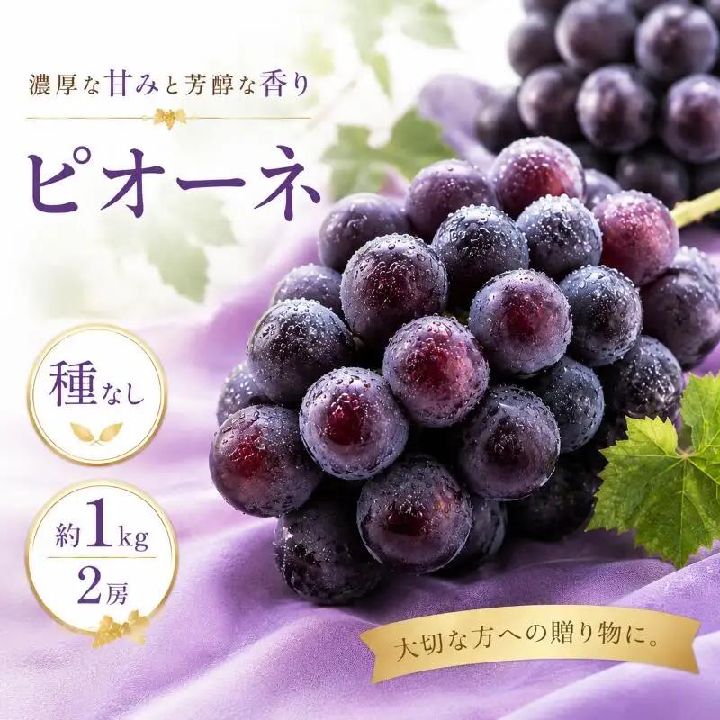 ぶどう ピオーネ 種なし 計約1kg 2房 ぶどう