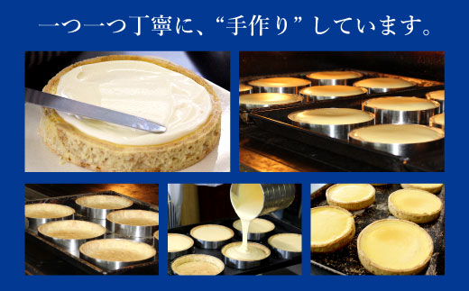 サクサククッキー生地!ヨーグルトフロマージュタルト 1箱 5号サイズ　チーズケーキ