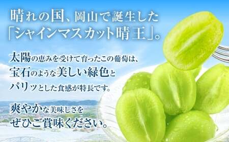 2025年 先行予約受付中 シャインマスカット晴王 1房 約750g 岡山県産 種無し 皮ごと食べる みずみずしい 甘い フレッシュ 瀬戸内 晴れの国 おかやま 果物大国 ハレノフルーツ
