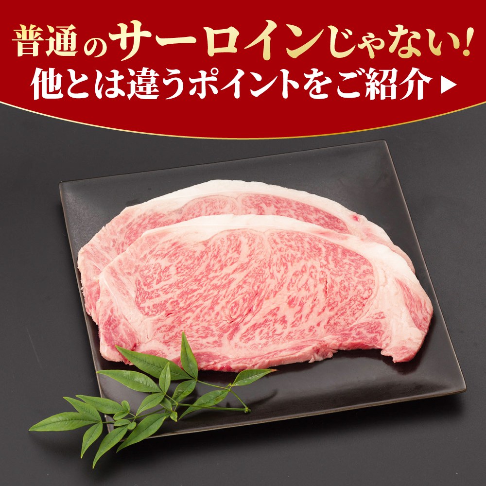 脂の乗り 柔らかさ 旨味はピカイチ！佐賀牛  サーロインステーキ 2人前 200g×2 400g  吉野ヶ里町/NICK’S MEAT [FCY004]