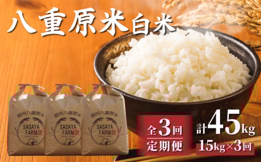 令和7年新米予約【3回定期便】八重原米15kg（5kg×3袋）白米　※2025年10月以降順次発送｜笹屋農園