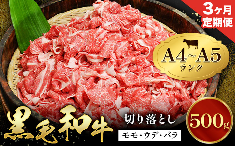 【3ヶ月定期便】牛肉 黒毛和牛 切り落とし 小分け 500g A4 A5 田中畜産 《お申込み月の翌月から出荷》 熊本県 苓北町 ミシュラン ビブグルマン 国産 肉 黒毛 和牛 赤身 カレー 肉じゃが