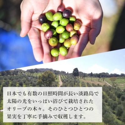 ふるさと納税 淡路市 50本セット!「淡路阿利布」91g(エキストラバージンオリーブオイル)　ah18012 |  | 02