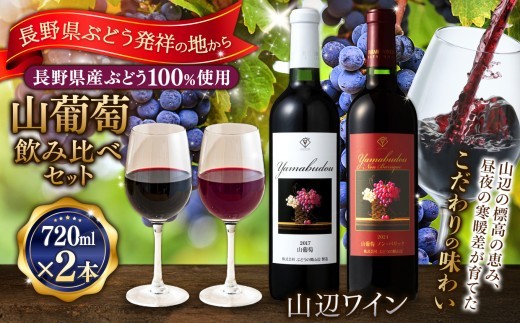 
                  【山葡萄飲み比べセット】山辺ワインセット720ml×2本(山葡萄×山葡萄ノン・バリック)｜ワイン 飲み比べ お酒 辛口 セット 信州 赤ワイン 白ワイン ぶどう ふるさと納税 長野県産 松本市 希少価値
                