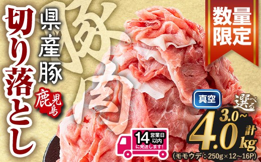 
                   豚肉 小分け 切り落とし　(計3.0～4.0kg)  ＜選べる内容量＞ 鹿児島県産 真空パック 豚肉切り落とし 肉 豚 豚肉こま切れ 国産  【Rana】A1016
                