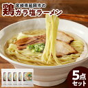 【ふるさと納税】宮崎県延岡市の鶏ガラ塩ラーメン5点セット 宮崎 延岡 風や ふうや 創作ラーメン 塩 お取り寄せグルメ