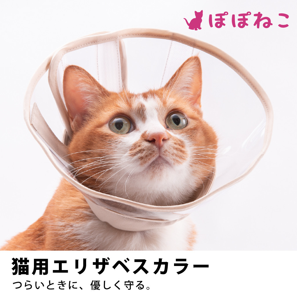 ぽぽねこ ギフト券 15,000円分 （Eメールタイプ）