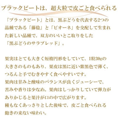 【先行受付】岡山県産　ブラックビート　600g×2房【配送不可地域：離島・北海道・沖縄県】