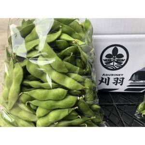 新潟県刈羽村産　中生茶豆2kg(500g×4パック)【配送不可地域：離島・北海道・沖縄県】【1546659】