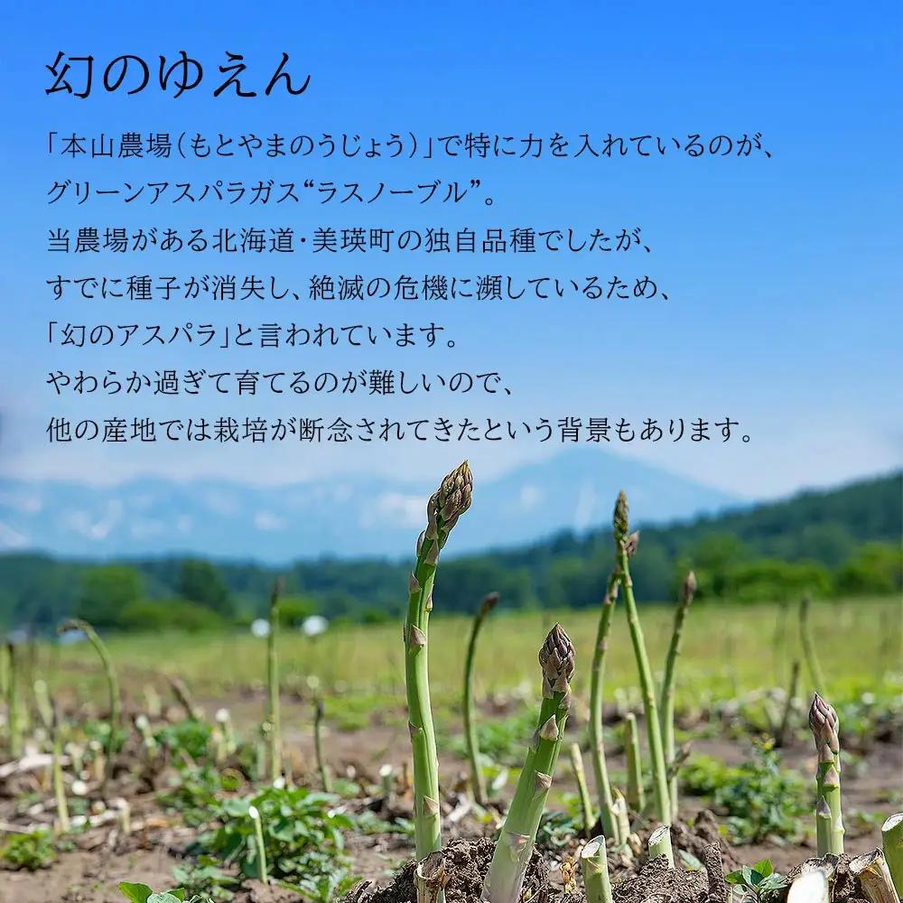 【令和9年産先行予約】アスパラガス 2S～Sサイズ 1kg 定期便 3回便 北海道 美瑛町 ラスノーブル アスパラ
