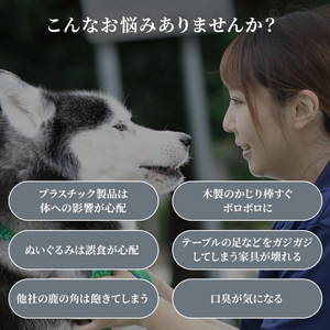 鹿の角 犬のおもちゃ ペット用 Lサイズ ( ペット おもちゃ 鹿 角 )【079-0004】