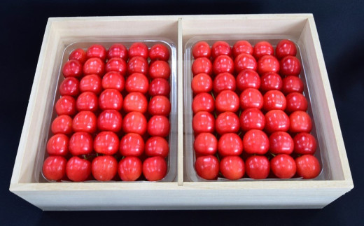 さくらんぼ（紅秀峰）１ｋｇ（５００ｇ×２パック）桐箱入　手詰め　0056-2517