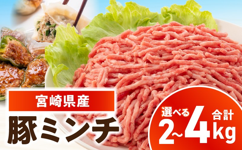 
                  【選べる内容量】宮崎県産豚ミンチ_kn126-002-SKU
                