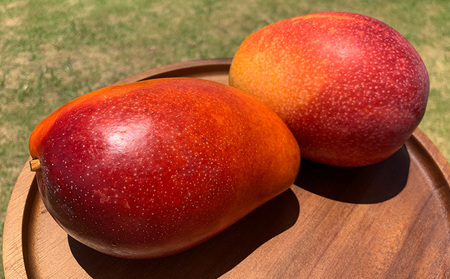 【2024年発送】完熟直送！本永さんの久米島マンゴー1kg ◆秀品◆